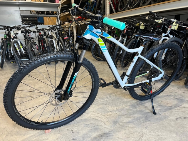 Specialized Comp Jett 29 Zoll