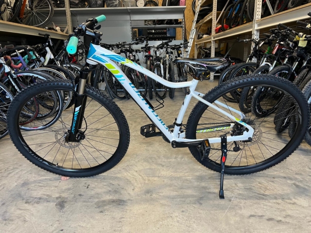 Specialized Comp Jett 29 Zoll – Bild 3