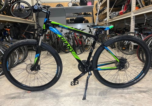 Giant Reval 29 Zoll