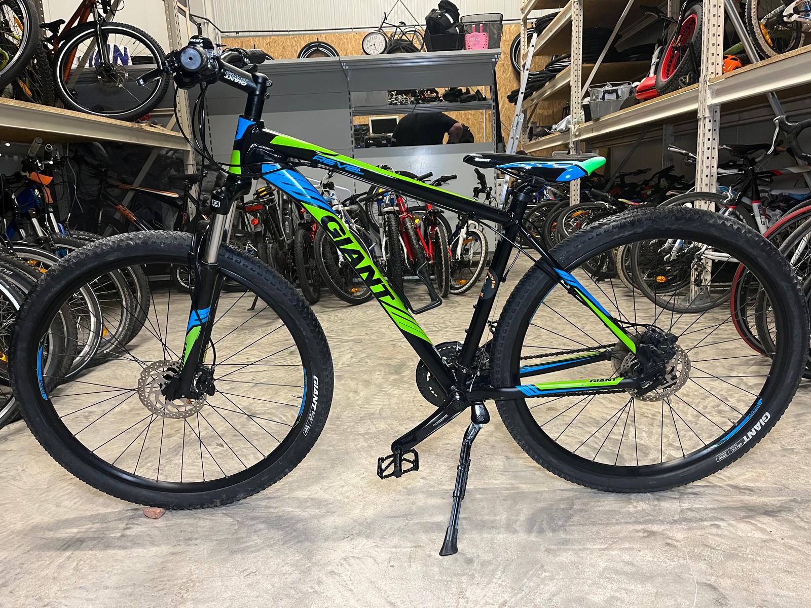 Giant Reval 29 Zoll
