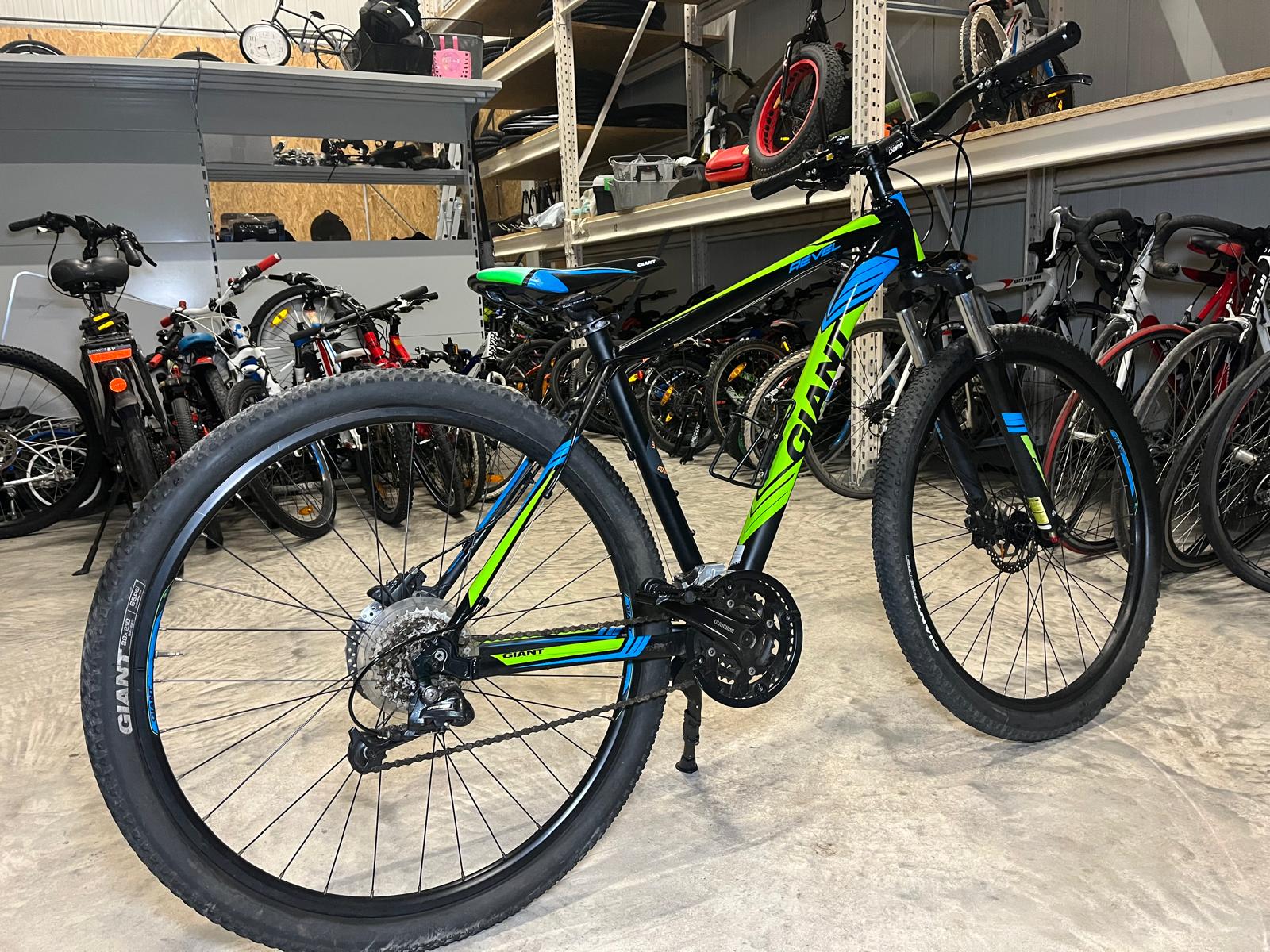 Giant Reval 29 Zoll – Bild 3