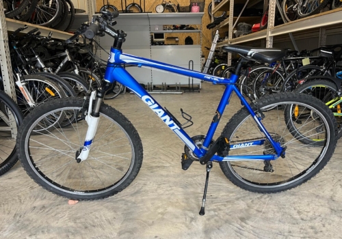 Giant Revel 4 in 26 Zoll