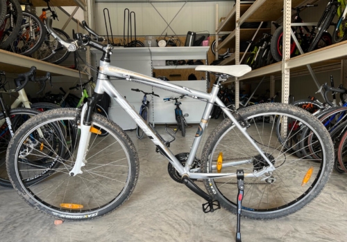 Scott Sportster 29 Zoll