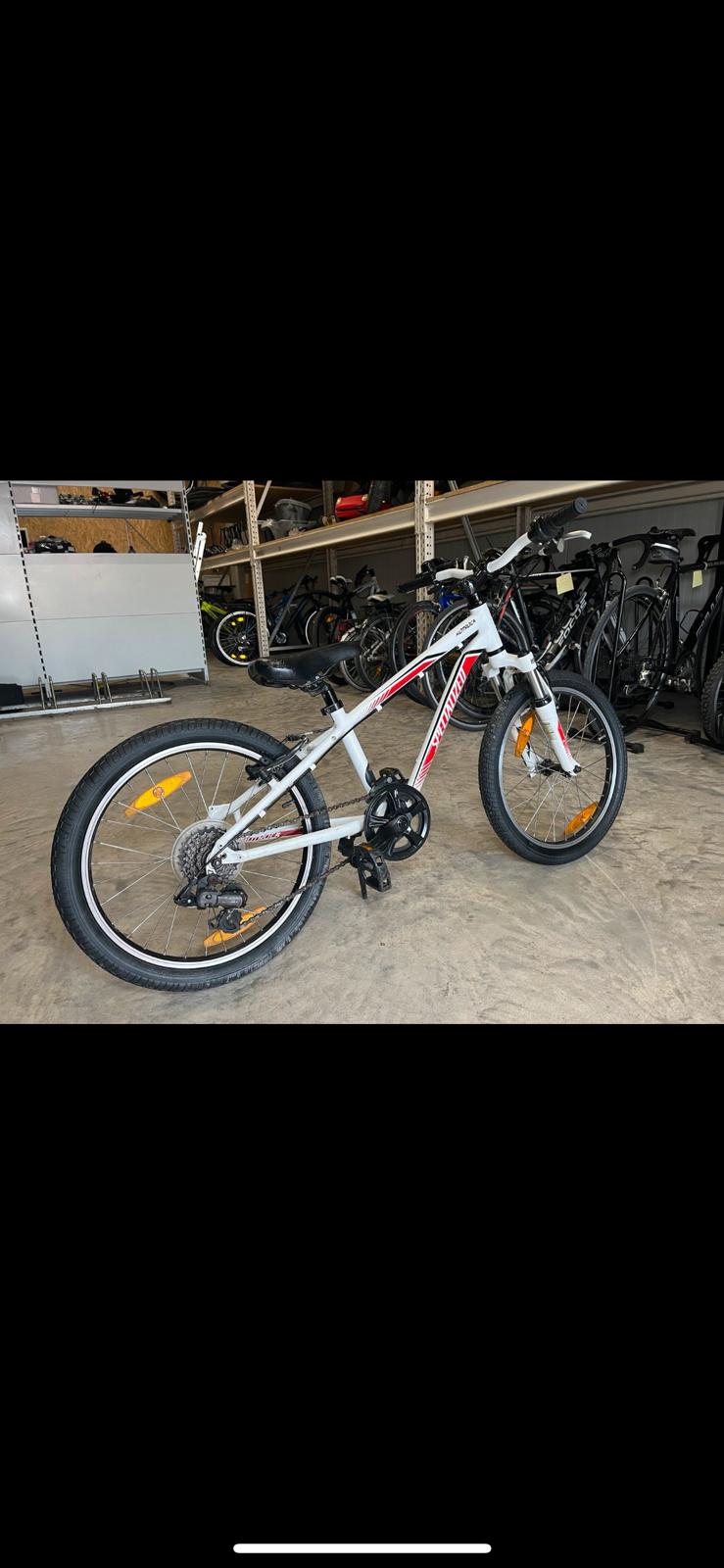 Specialized Hotrock 20 Zoll – Bild 5
