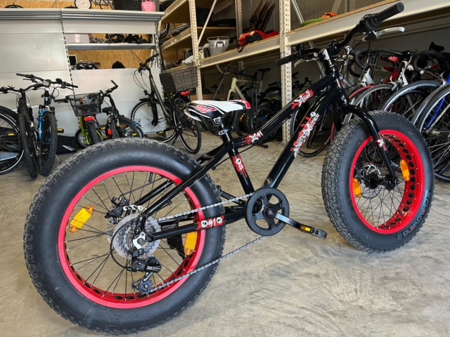 Monster Rider 20 Zoll – Bild 2