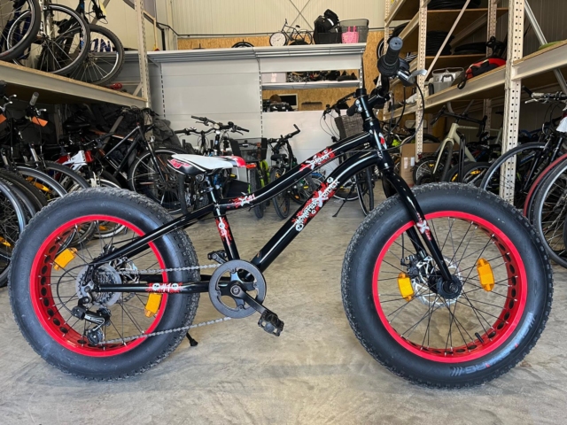 Monster Rider 20 Zoll – Bild 4